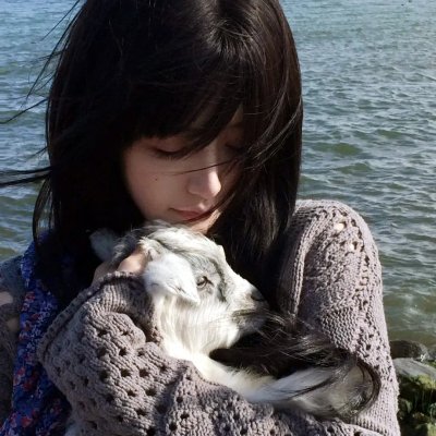 我的心里住着一只猫
